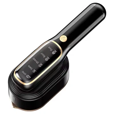 Ķīnas tvaika dzelzs